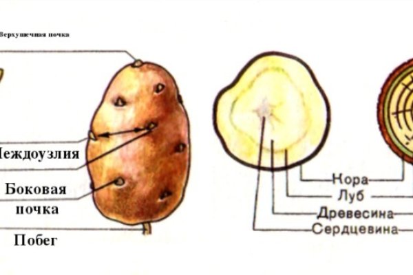 Счастье заказать