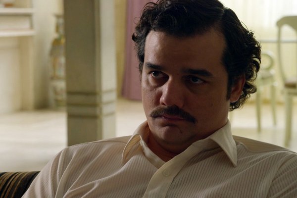 Магазины котиков